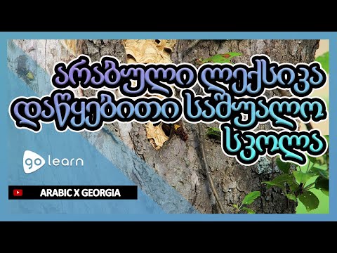 არაბული ლექსიკა დაწყებითი საშუალო სკოლა | Golearn