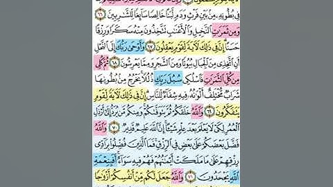 تيسير حفظ سورة النحل بالتكرار الوجه الثامن الآيات )56-72) مكرر 5 مرات بصوت الشيخ عبد الباسط عبد