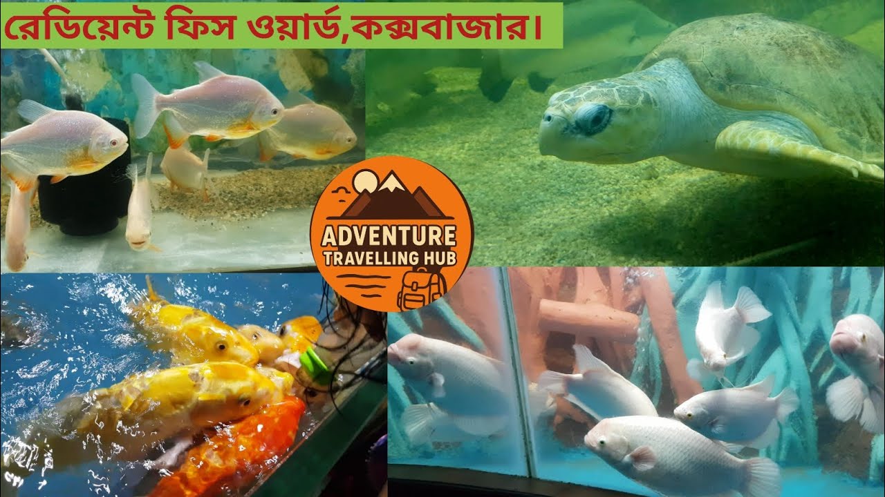 রেডিয়েন্ট ফিস ওয়ার্ল্ডে একদিন,কক্সবাজার। A Day at Radiant Fish World,Coxsbazar. #radiantfishworld 