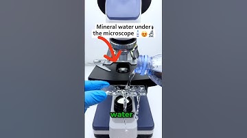 Mineral Water Under the Microscope