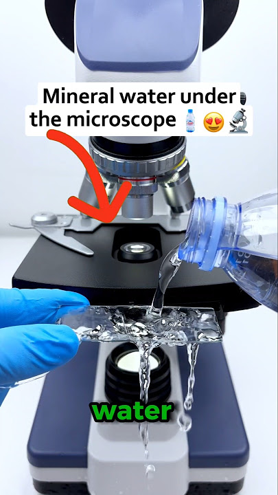 Mineral Water Under the Microscope