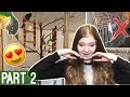 Reacting to My Subscribers’ Bird Cages! | Pt. 2