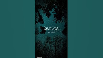 آيات من القرآن الكريم للقارئ عبد الرحمن مسعد