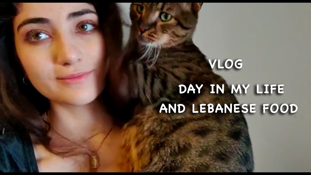 vlog-eating-raw-beef-and-day-in-our-lives-in-nyc-youtube
