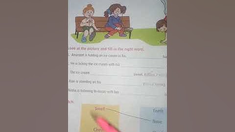 class 1st / EVS / chapter 3 / More About My Body.