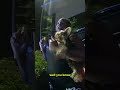 Woman Claims She Was Attacked by the Whole Taco Bell