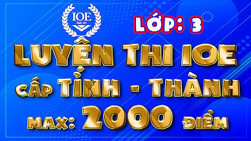 IOE lớp 3 cấp TỈNH, IOE lớp 3 cấp THÀNH PHỐ - MAX: 2000 điểm (IOE Olympic Tiếng Anh)