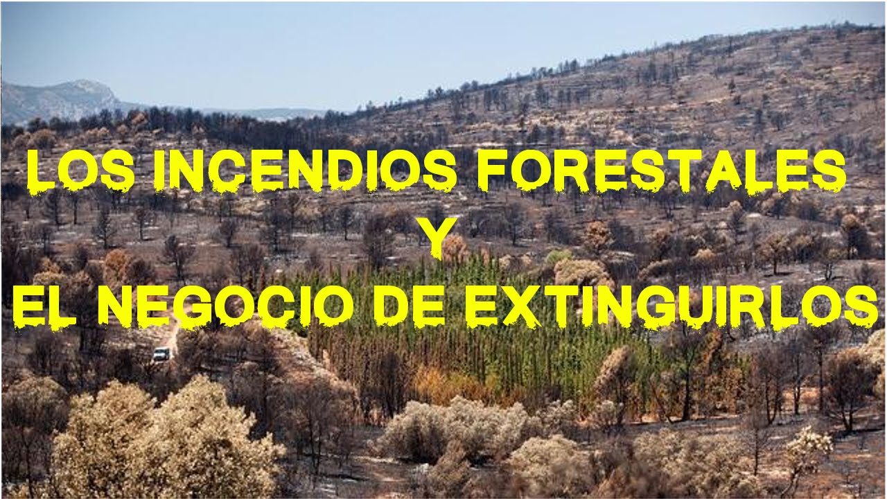 Resultado de imagen para imagenes el negocio de los incendios forestales