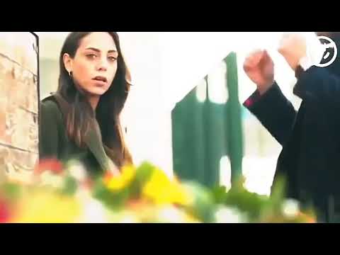 يا حبيبى مهما قولت كلام دا أنا حبك شوفت فيه أيام وليالى