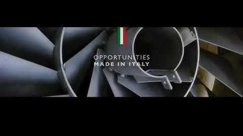 AEFI - TECHNOLOGY, EXPERTISE AND INNOVATION: THE ITALIAN DNA