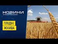 На Хмельниччині триває активна фаза жнивної кампанії. Перший Подільський 05.08.2022