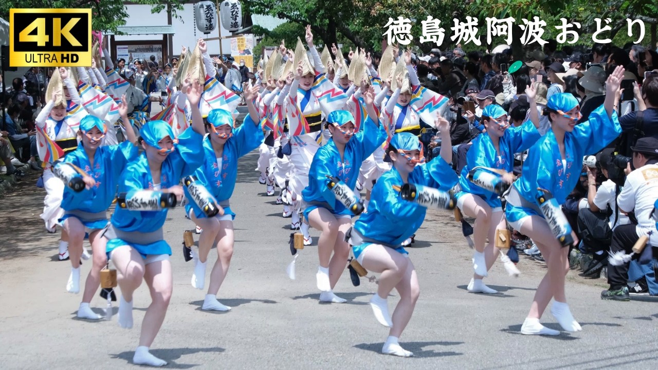 徳島城阿波おどり] ゑびす連 流し踊り #阿波踊り | 2026.4.29 4K UHD