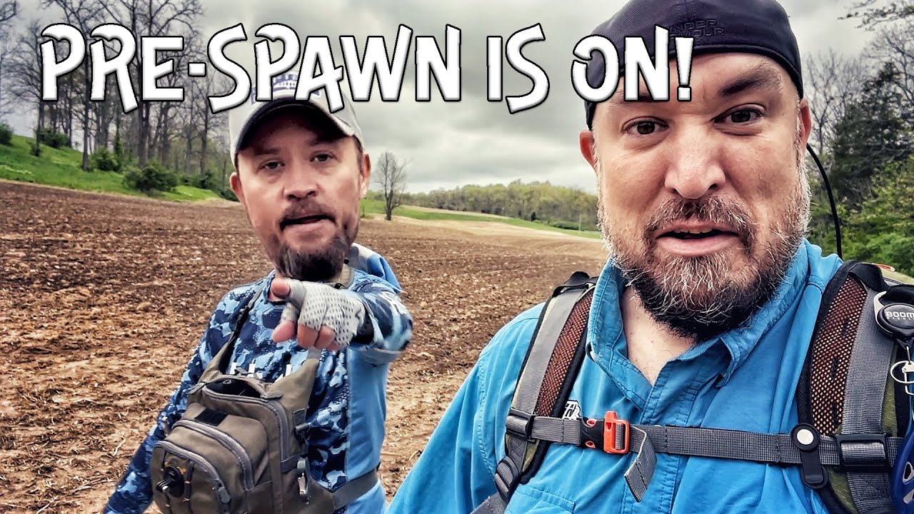 Dynamic Duo Blue The Dynamic Duo is BACK! - YouTube