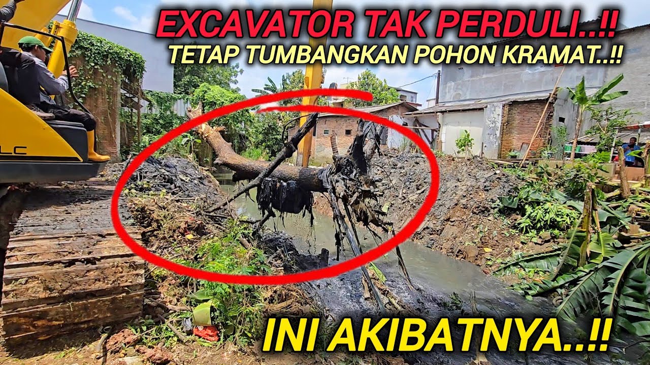 GILA APA INI❓️EXCAVATOR BABE RAMLI NEKAT ROBOHKAN POHON GEDE KRAMAT DIPINGGIR KALI PONDOK UNGU 