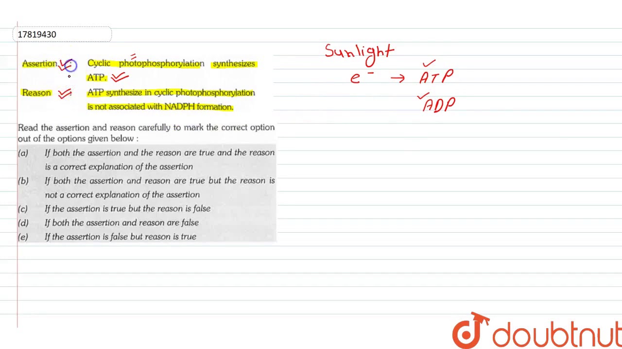 Assertion : Cycle photophosphorylation synthesizes ATP. Reason : ATP synthesize in