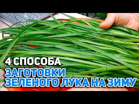 ПАСТА СОУС ИЗ ОСТАТКОВ ЗЕЛЕНИ/ЗЕЛЕНЫЕ ЩИ ЗАМОРОЗКА/ЛУК ЗЕЛЕНЫЙ ЗАГОТОВКА НА ЗИМУ@obovsemsmarusya