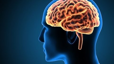 आपके दिमाग के बारे में तथ्य | Enigmatic Facts About the Human Brain and Consciousness