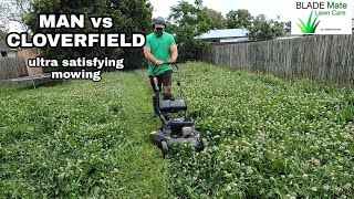 SATISFYING lawn mowing of a CLOVER FIELD  long grass cutting Australia