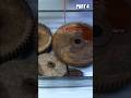 Antique Rusty Motor Winding Machine Restoration Part 4! #shorts #restoration