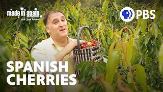 Celebrity Cherries and Cheeses in Extremadura | Made in Spain with Chef José Andrés | Full Episode Profile