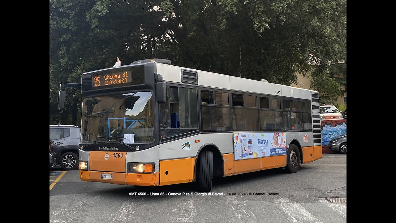 BREDAMENARINIBUS M231 MU - AMT 4560