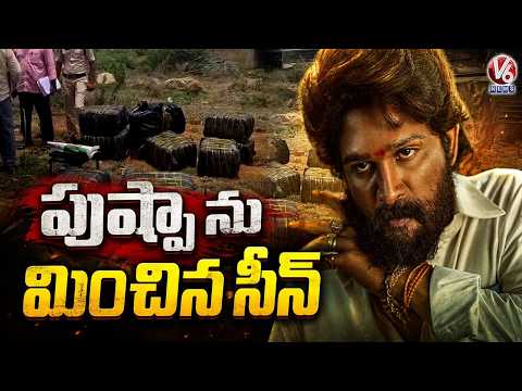 ‘Pushpa’ Style Ganja Trafficking Gang Caught In Nellore  Illegal Transport Exposed | V6 News | - V6NEWSTELUGU