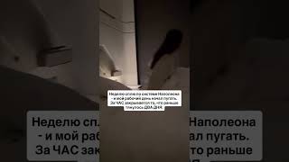    Httpstmefh5ows1esazywqy         