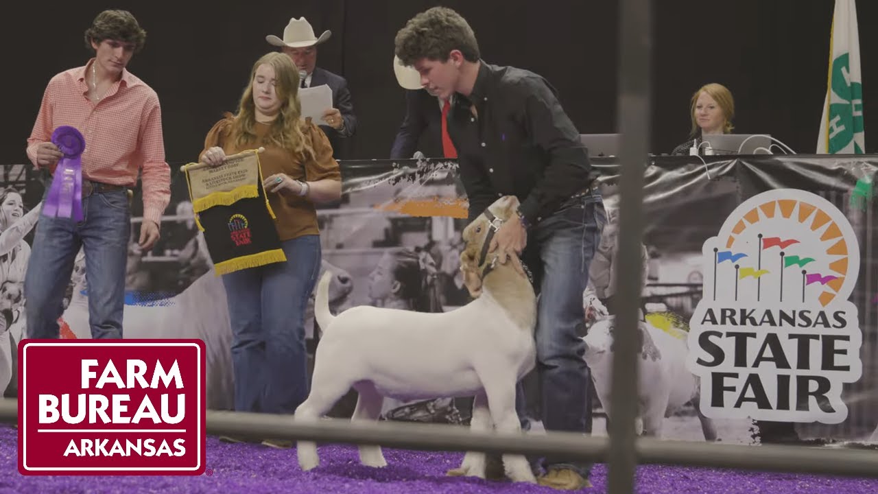 arkansas-state-fair-2021-junior-livestock-auction-youtube