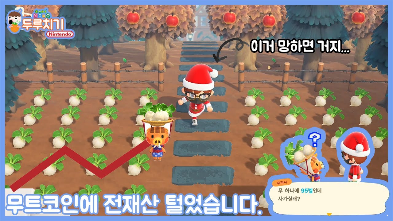 [모여봐요 동물의 숲] 무트코인에 전재산 털었습니다... 이거 망하면 거지되요... 😭