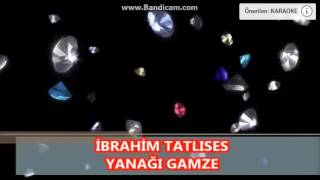 Yanaği Gamze