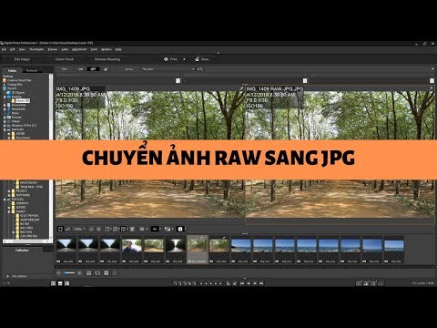 Video Hướng dẫn chuyển ảnh RAW sang JPG bằng Canon DPP - youtube