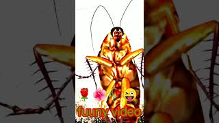 Cute cockroach beautiful dance #shorts #viralshorts #love #funnycomedy #comedy #JDK