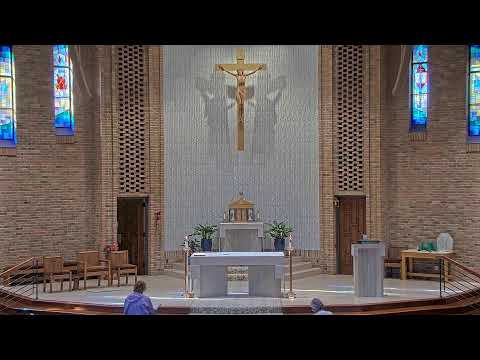Daily Mass Friday - 8:15 AM - 06/20/2025