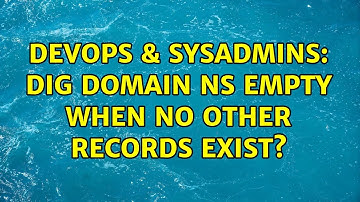 DevOps & SysAdmins: DIG domain NS empty when no other records exist? (2 Solutions!!)