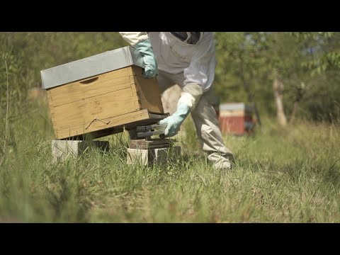 Tuto 3: Installer une balance de ruche connectée BeeGuard