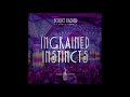 INGRAINED INSTINCTS - Live Set@Boom Festival 2018 Dance Temple 30 [Psychedelic Trance]