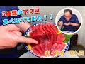マグロの食べ比べ！ 本マグロ、インドマグロ、バチマグロの違いとは?!築地魚河岸