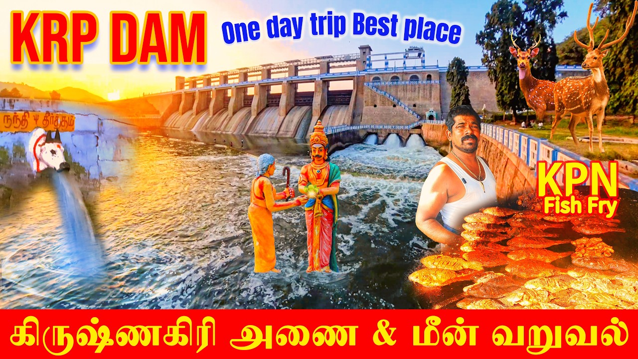 Krishnagiri Dam🌊🌿❤️ | Fish Fry KPN 🐟🔥| 🏍️One Day Trip  | Famous Spots | #4k  | KRPஅணை & மீன் வறுவல்