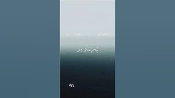 قال تعالى ﴿ ياأيها الذين آمنوا اذكروا الله ذكرا كثيرا ﴾ سورة الأحزاب #القاريء #المنشاوي