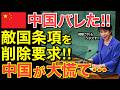 【海外の反応】高市総理が国連の場で「旧敵国条項の削除」を正式に要求！81年も残り続ける異常な条文に世界が注目！【にほんのチカラ】