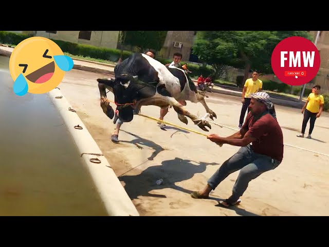 Funny & Hilarious People's Life 😂 #81 - Try not to Laugh | Funny Fails Compilation 2024 class=