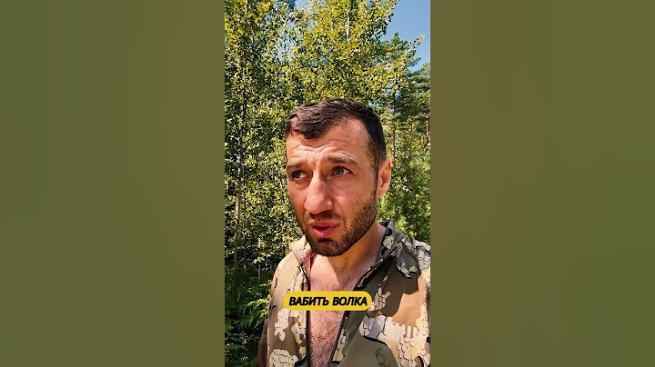 The wolf hunt has begun. Alexey goes to call the wolves
