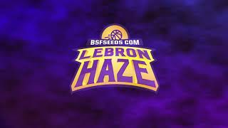 LEBRON HAZE 🏀 La sativa más rápida del mundo 💪🌎