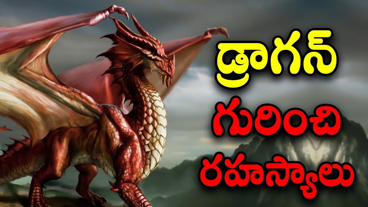 facts-about-dragons-telugu-facts-youtube