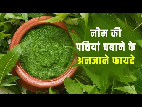 नीम की पत्ती खाने के गज़ब के फ़ायदे? #verticallive #healthtips #shortlive