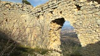 Castillo de Urria o Montealegre (Burgos)