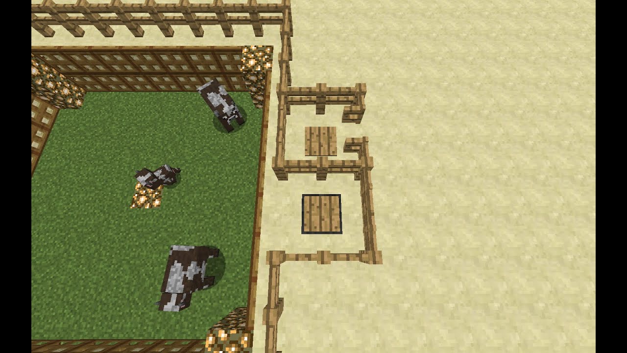 Clocks: Animal-Breeding Timer - YouTube