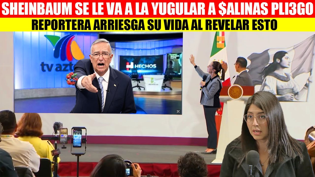 💥🚨MIRA: SE CALIENTA LA MAÑANERA,REPORTERA ARRIEGA SU VIDA AL EXHIBIR A SALINAS PLIEGO EN LA MAÑANERA