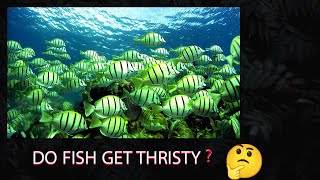 Do fish get thirsty?.World  news spotlight .