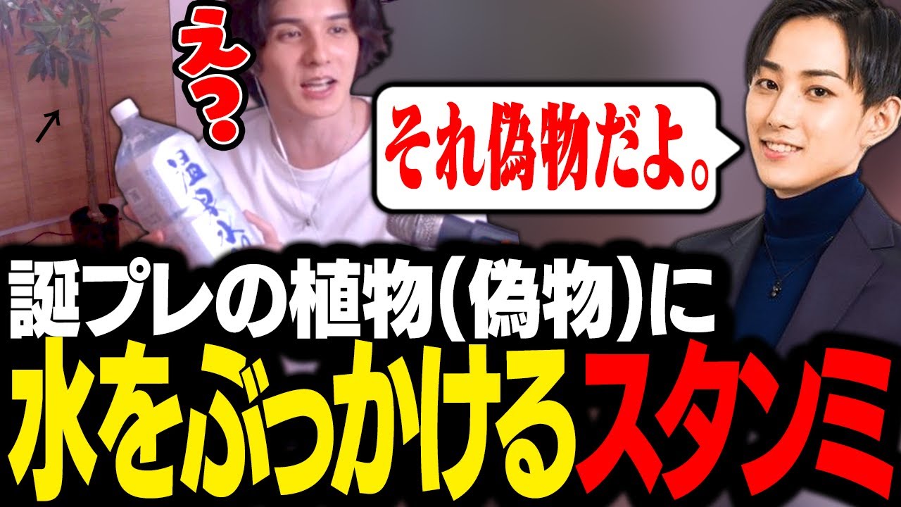 らいじんから貰った偽物の観葉植物に、水をぶっかけてしまうスタンミじゃぱん